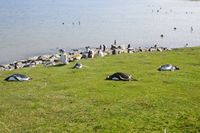 
DSC00378